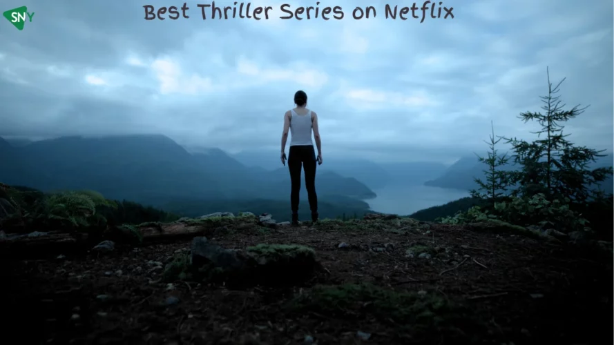 Best Thriller Series on Netflix