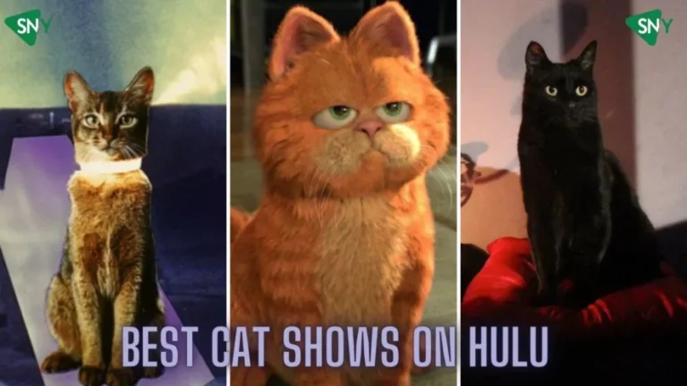 Best Cat Shows on Hulu