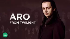 All You Need To Know About Aro Twilight