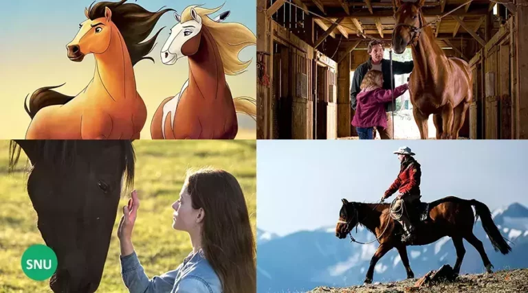 Best horse movies on Hulu