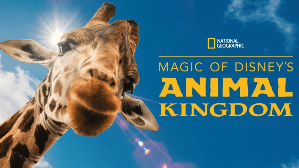 regarder-magic-of-disneys-animal-kingdom
