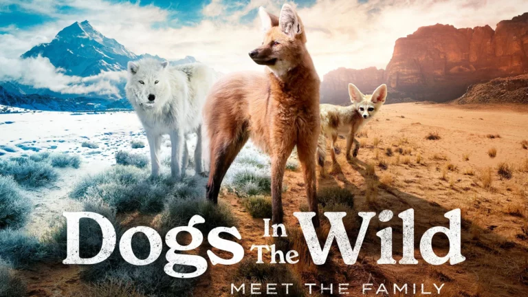 regarder-dogs-in-the-wild-meet-the-family