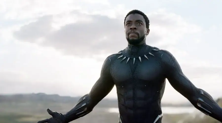Black Panther Wakanda 