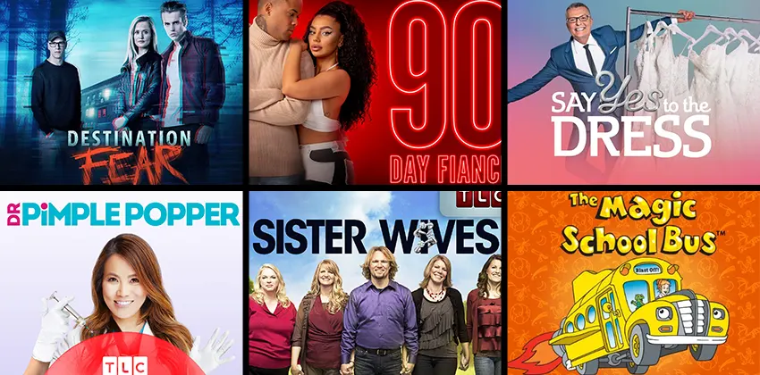TLC's Best Shows in 2023 