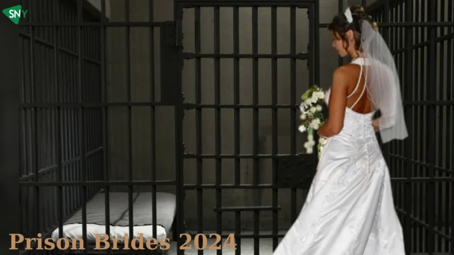 Prison Brides 2024