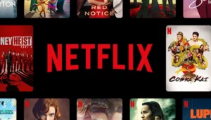 Netflix USA Password Sharing