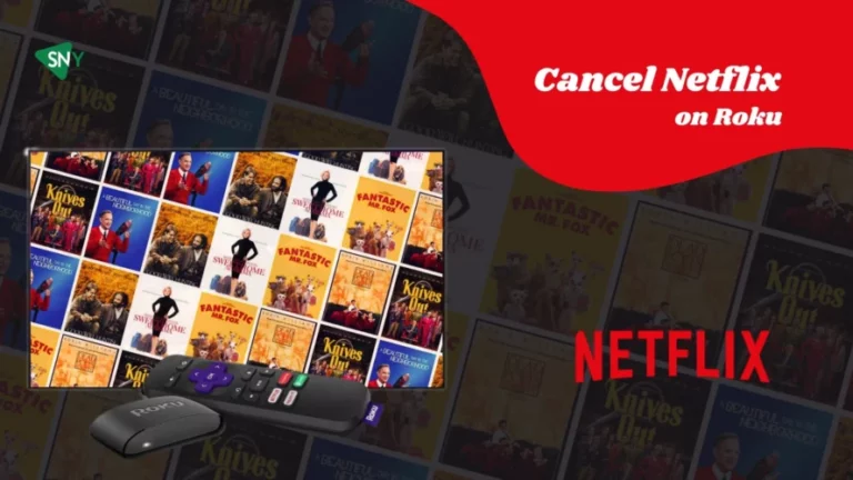 Cancel Netflix on Roku