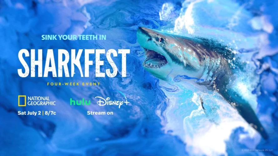 How To Watch SharkFest 2023 On Disney Plus Online ScreenNearYou