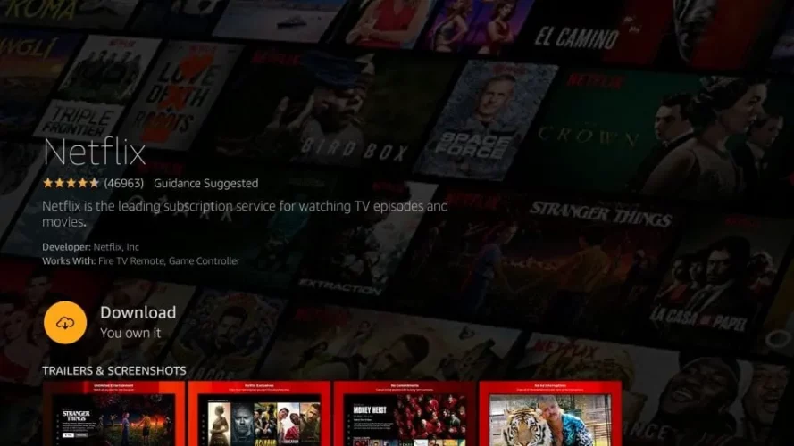 netflix on firestick