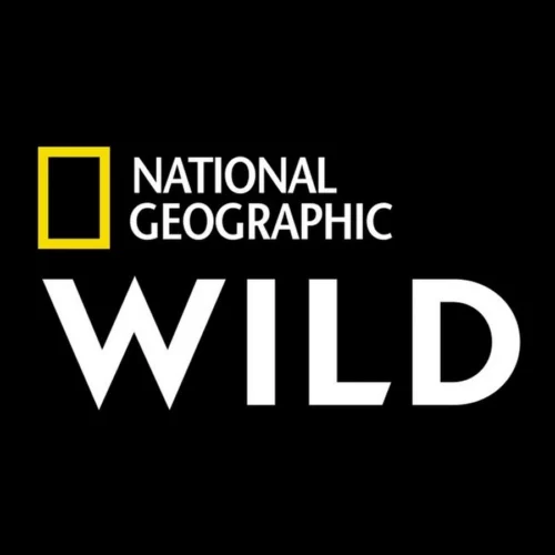Watch Nat Geo Wild in UK