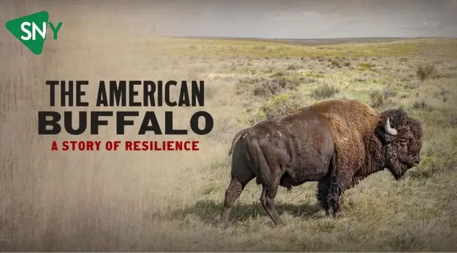 Watch The American Buffalo Season 1