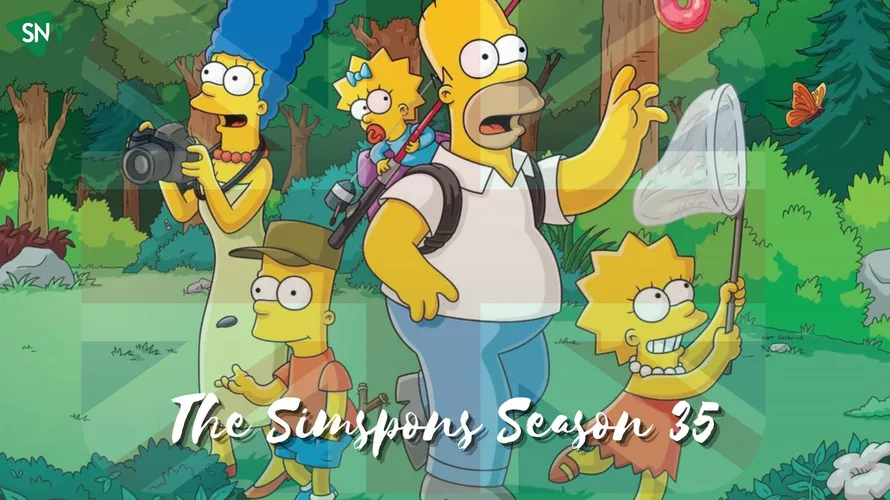 Watch The Simspons Season 35 In UK