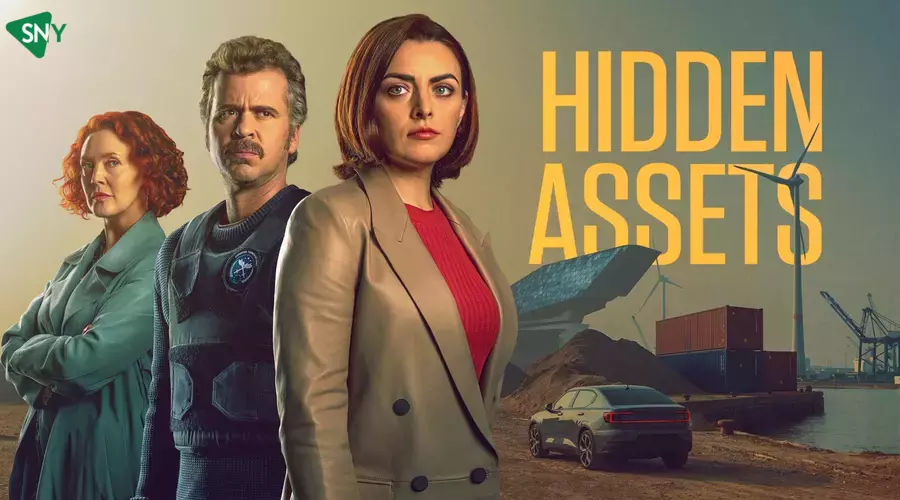 Watch Hidden Assets Season 2