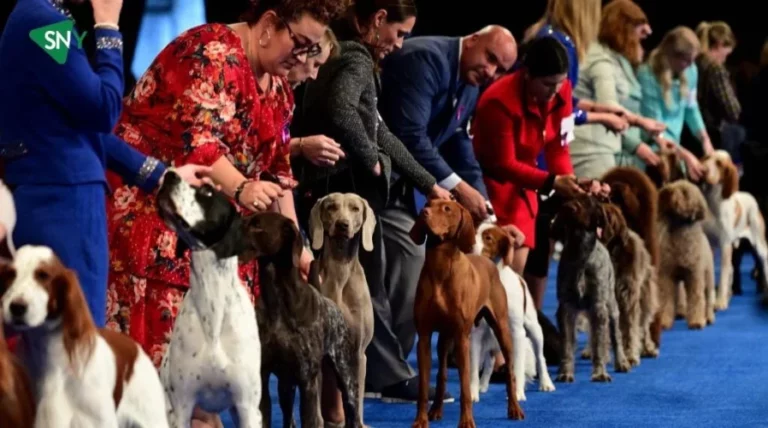 Watch The National Dog Show