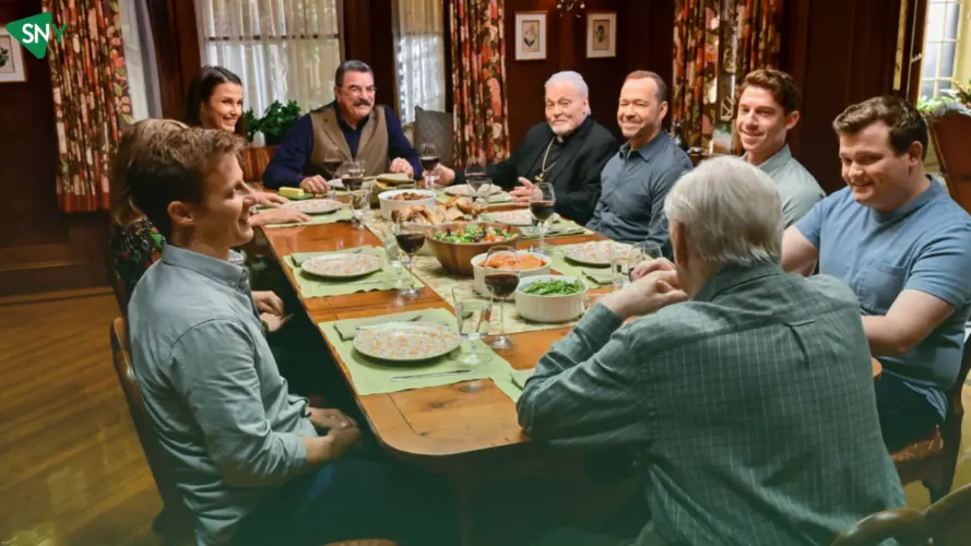 Blue Bloods Season 14 Cast