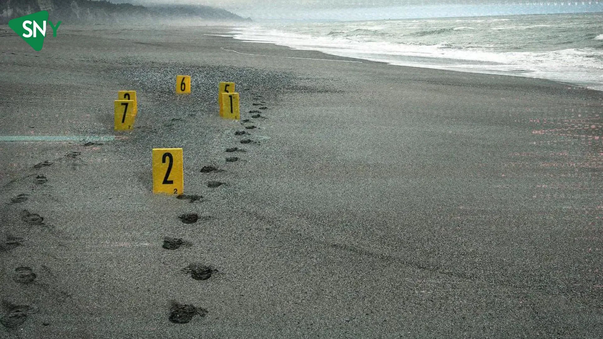 Watch Murdered: The Baby on the Beach In USA