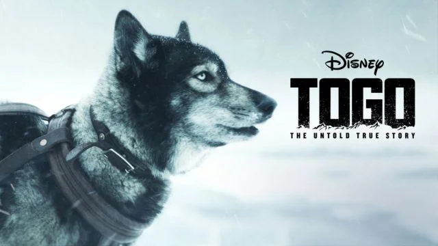 10 Best Dog Movies On Disney Plus