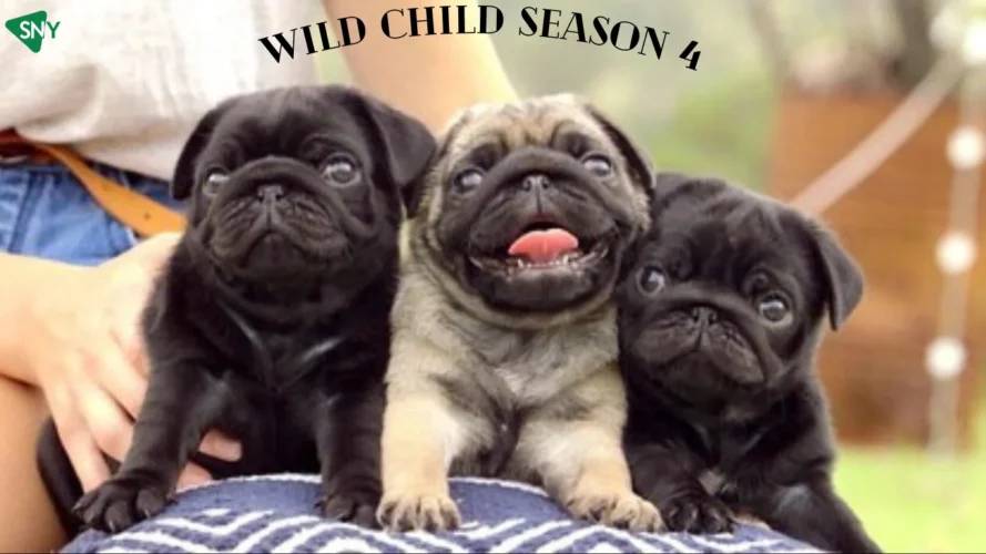 Watch Wild Child Season 4 in Australia