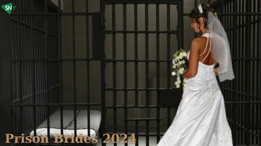 Watch Prison Brides 2024