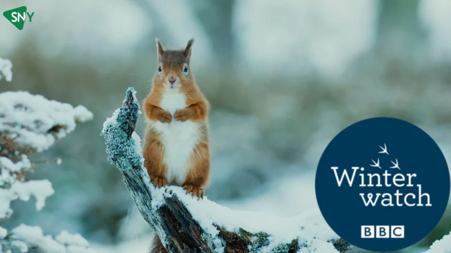 Watch Winterwatch In Ireland