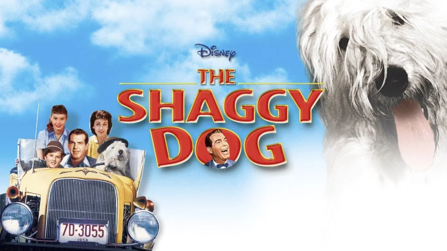 10 Best Dog Movies On Disney Plus
