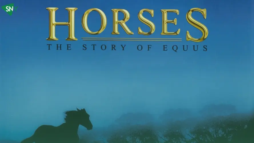 Best Horse Movies on Hulu to Watch