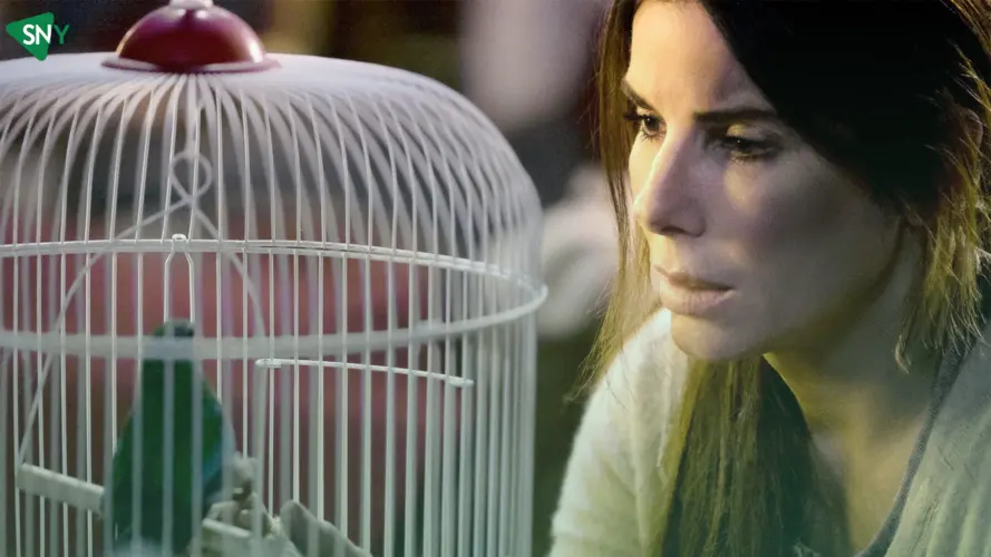 7 Best Sandra Bullock Movies on Netflix 