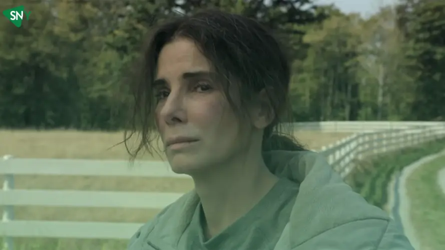 7 Best Sandra Bullock Movies on Netflix 