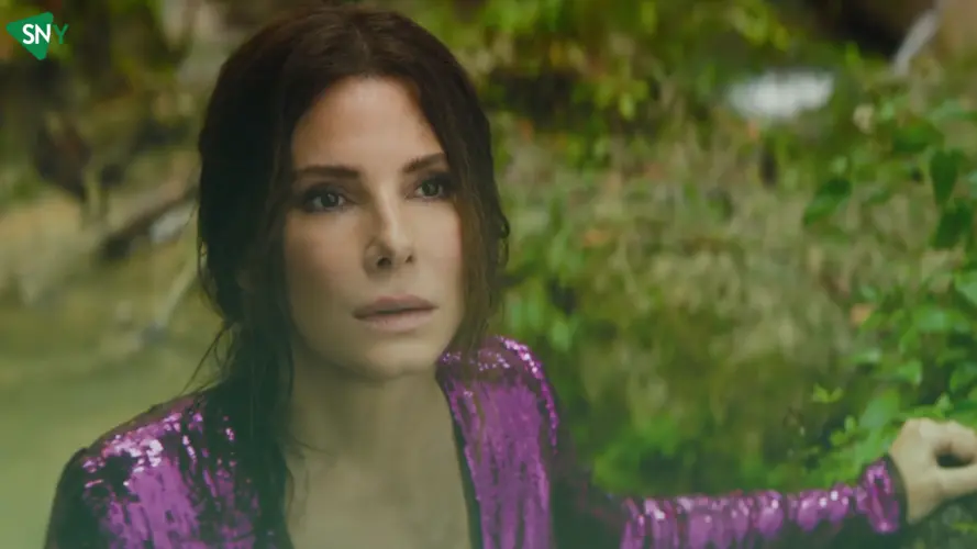 7 Best Sandra Bullock Movies on Netflix 