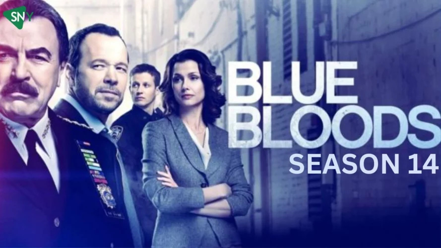 Watch Blue Bloods Season 14 In Australia