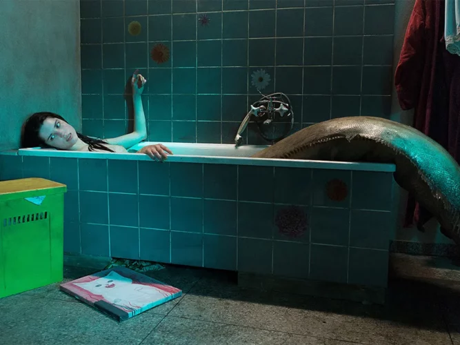 The Lure (2015)