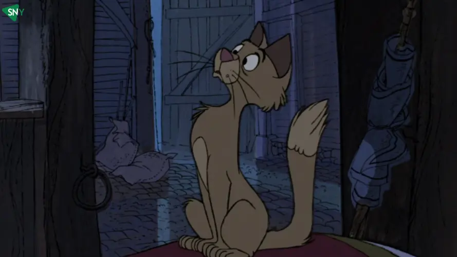 7 Best Cats In Disney Movies May 2024 Updated