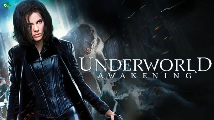 Top 5 Best Underworld Movies May 2024 Updated