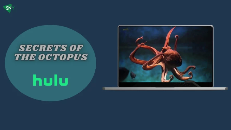 Watch Secrets of the Octopus in Australia