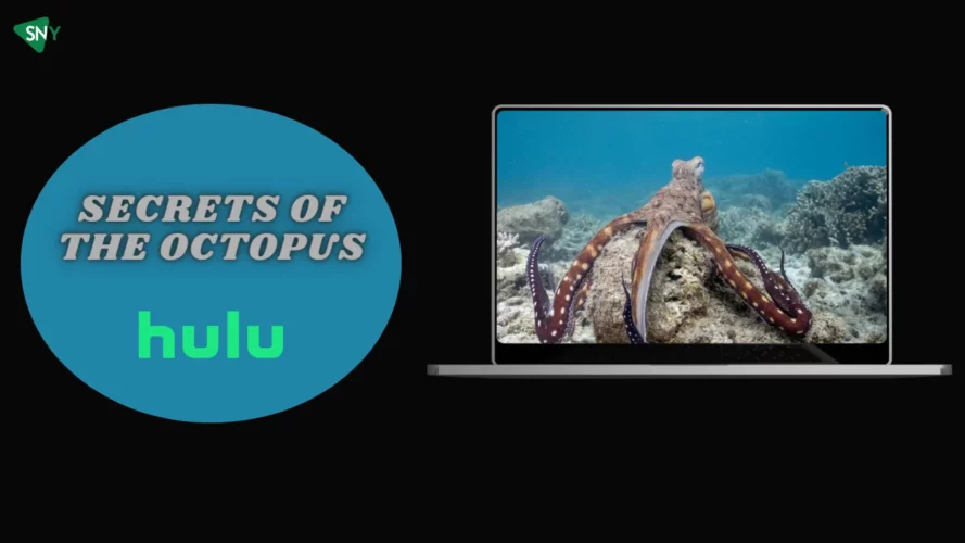 Watch Secrets of the Octopus in New Zealand